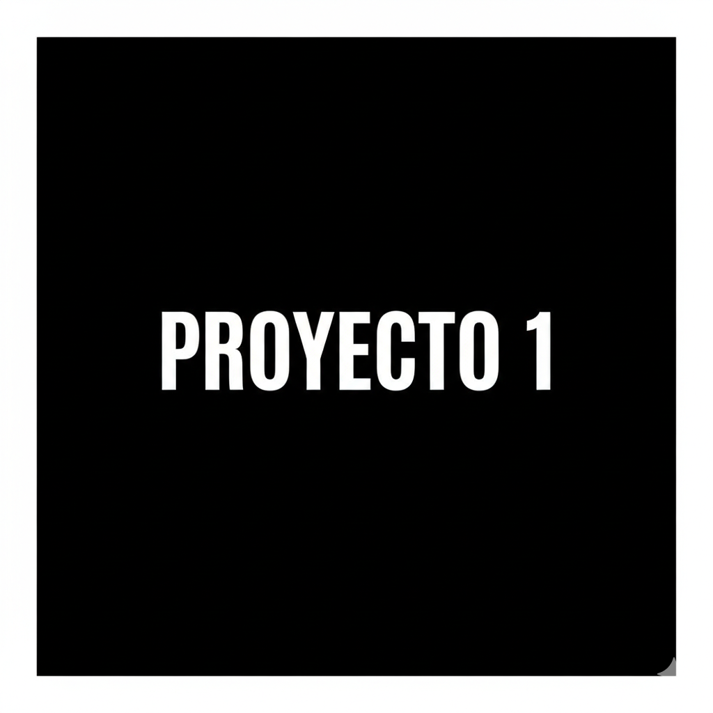 Proyecto 1